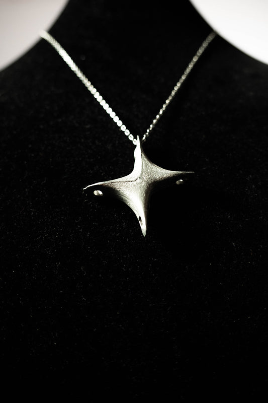 Collier pendentif étoile brut
